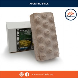 Brightwell - Xport BIO Brick - Reduce amoníaco y nitritos