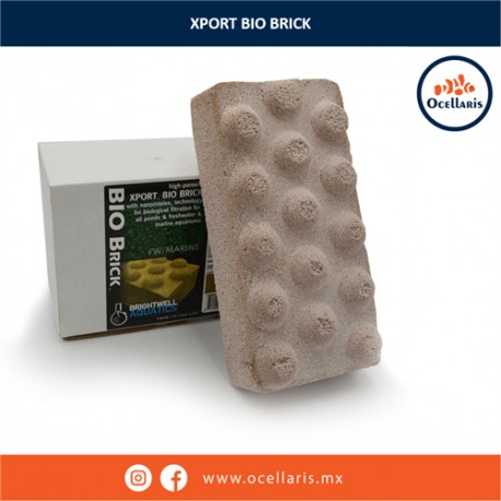 Brightwell - Xport BIO Brick - Reduce amoníaco y nitritos