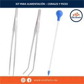 Kit de Pipeta + 2 pinzas de acero inoxidable