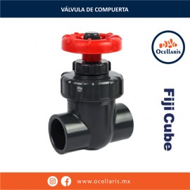 Válvula de compuerta - Cédula 80 - Liso x Liso - 1 plg