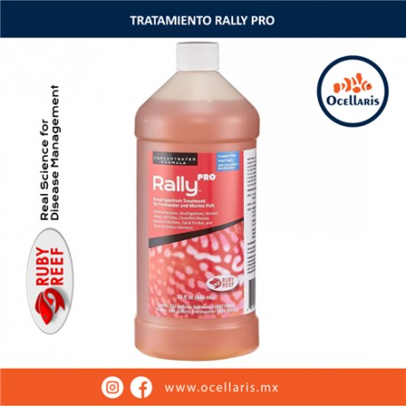 Rally Pro - 32 fl oz