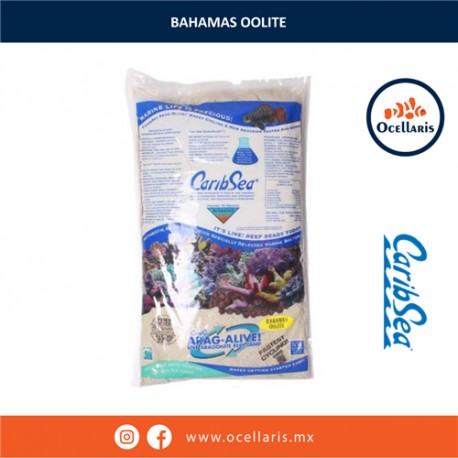 Bahamas Oolite - 20 lb - Sustrato de Aragonita viva