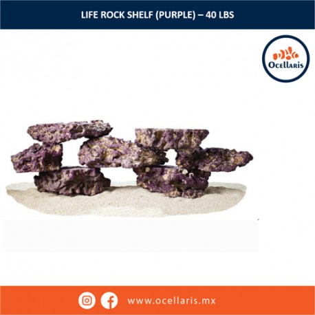 Life Rock Shelf (Purple) - 40 Lbs