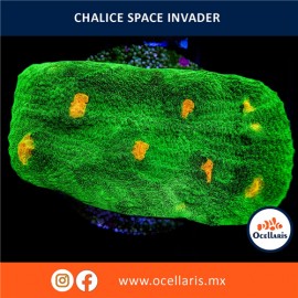 Frag - Chalice Space Invader