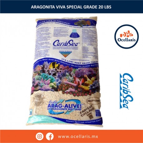 Special Grade - 20 lb - Sustrato de Aragonita viva