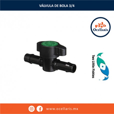 Válvula de bola de 3/4
