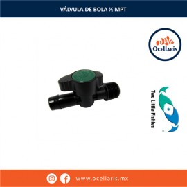 Válvula de bola 1/2 MPT