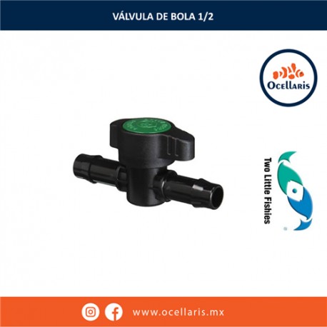 Válvula de bola para 1/2 pulgada