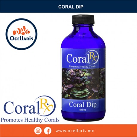 Coral Dip - 8 oz