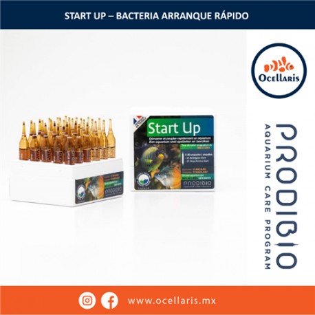 Prodibio Start Up 30 ampolletas - Bacteria