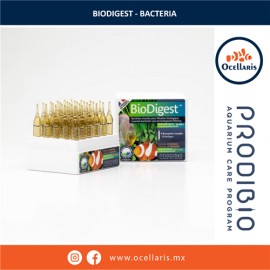 Prodibio BioDigest 30 ampolletas - Bacteria