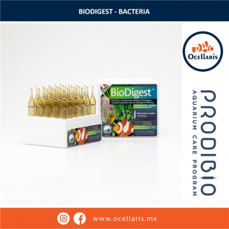 Prodibio BioDigest 30 ampolletas - Bacteria