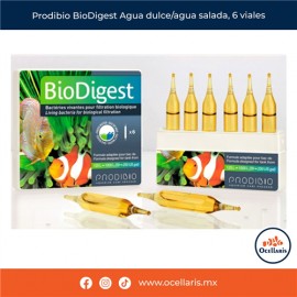 Prodibio BioDigest 6 ampolletas - Bacteria