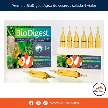 Prodibio BioDigest 6 ampolletas - Bacteria