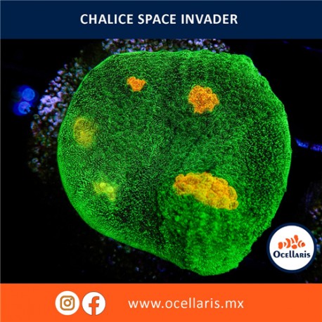 Frag - Chalice Space Invader