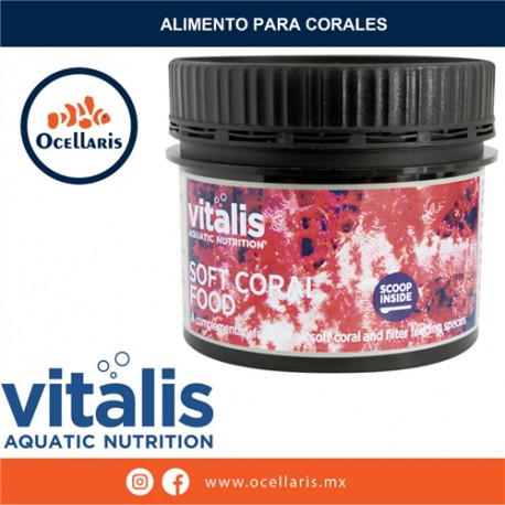 Soft Coral Foot 40g