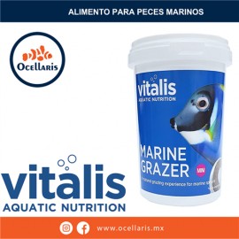 Marine Grazer 240g