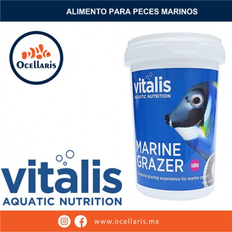 Marine Grazer 240g