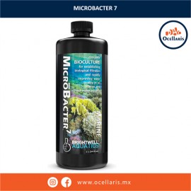 Brightwell Microbacter 7 - 1 Litro