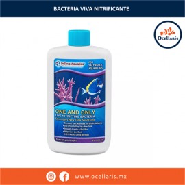 One And Only - Bacterias Nitrificantes Vivas - 8 oz (240ml)