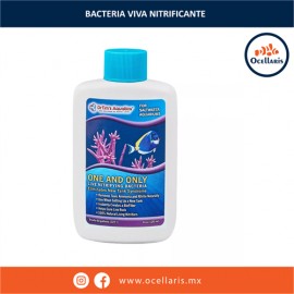 One And Only - Bacterias Nitrificantes Vivas - 4 oz (120ml)