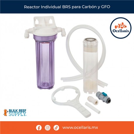 Reactor Individual BRS para Carbón y GFO