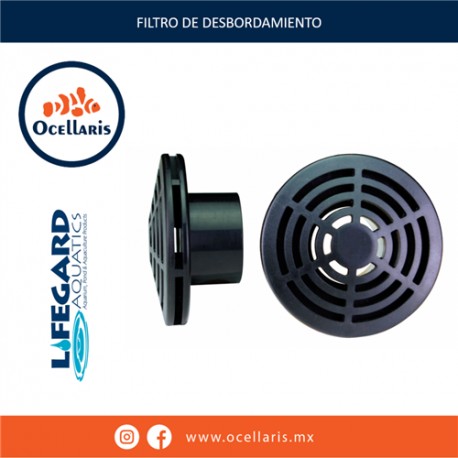 Filtro de Desbordamiento MPT - 1 plg