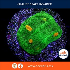 Frag - Chalice Space Invader