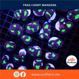 Candy Manzana