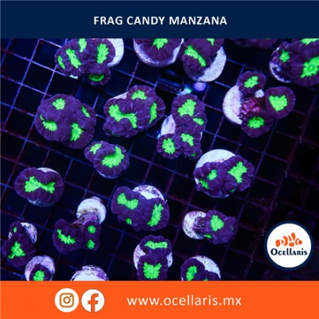 Candy Manzana