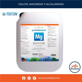 Magnesium 10 LT