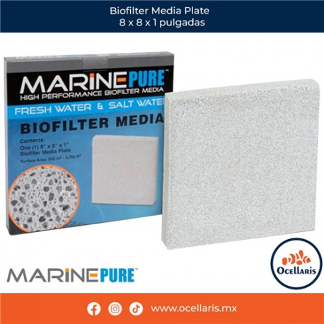Biofilter Media Plate  8 x 8 x 1 pulgadas