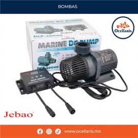 DCP-20000
