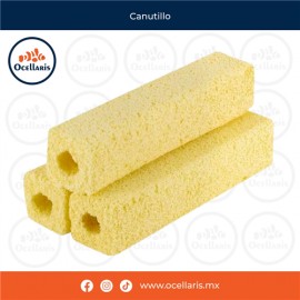 Canutillo