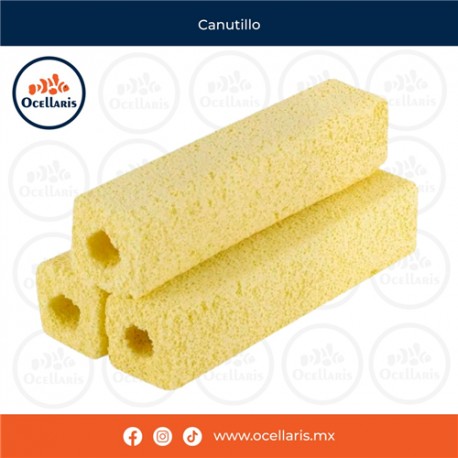 Canutillo