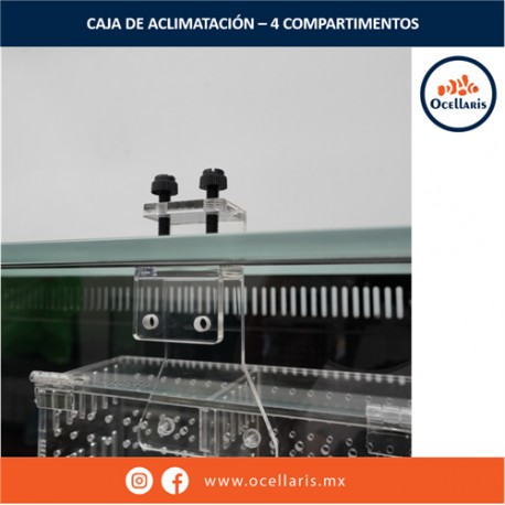 Caja de aclimatación con 4 compartimentos