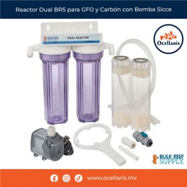 Reactor Dual BRS para GFO y Carbón con Bomba Sicce