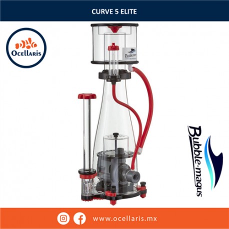 CURVE 5 ELITE con bomba Sicce - 300/500 Litros