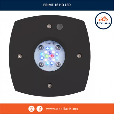 AI Prime 16 HD LED - Módulo Negro