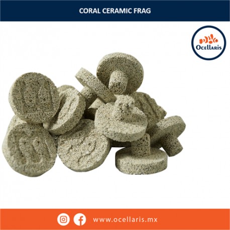 Mantis Coral Ceramic Frag - 3cm ancho x 2cm de alto